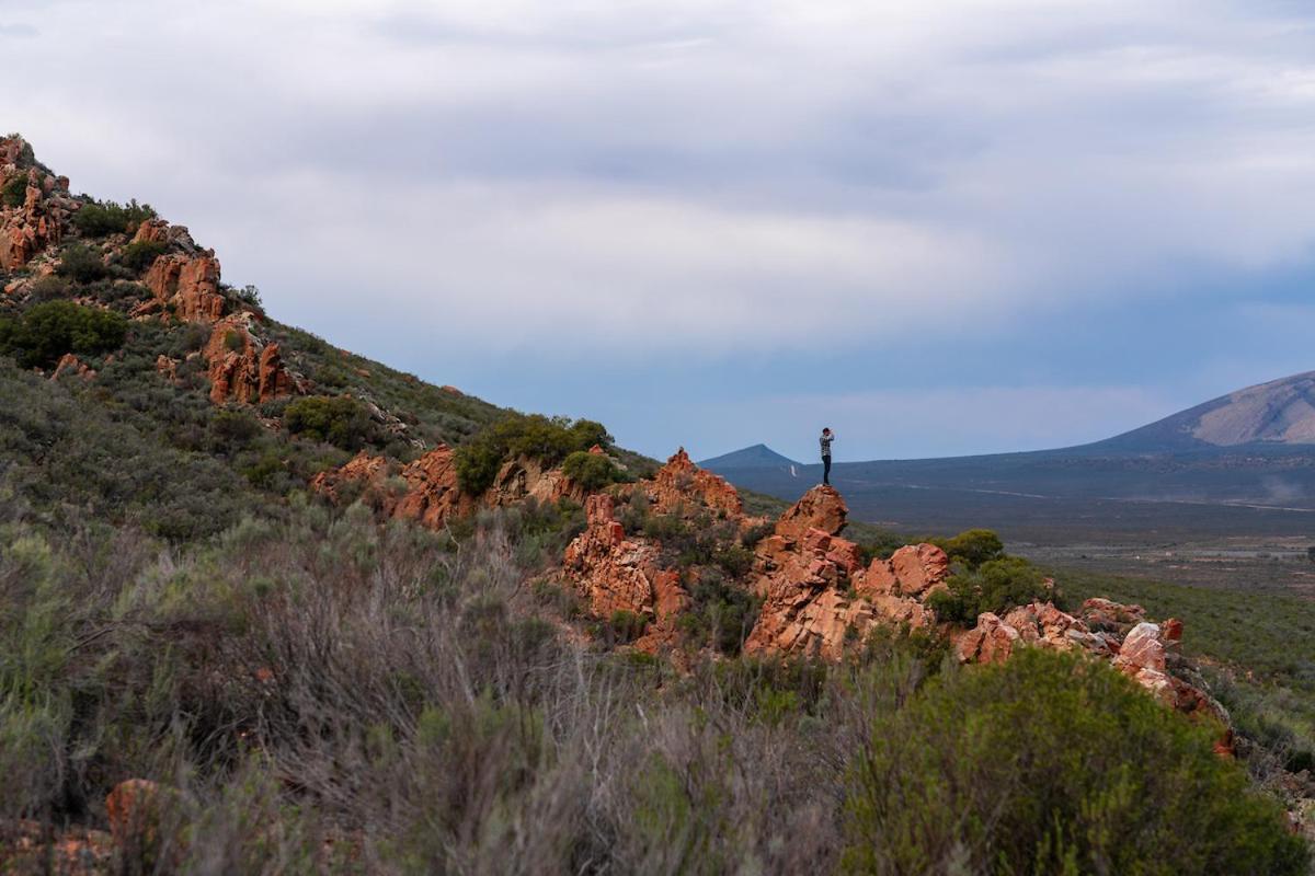 Gecko Rock Private Nature Reserve Goedgemoed Exterior photo